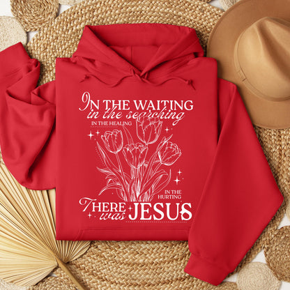 In The Waiting In The Searching In The Healing In The Hurting There Was Jesus 01