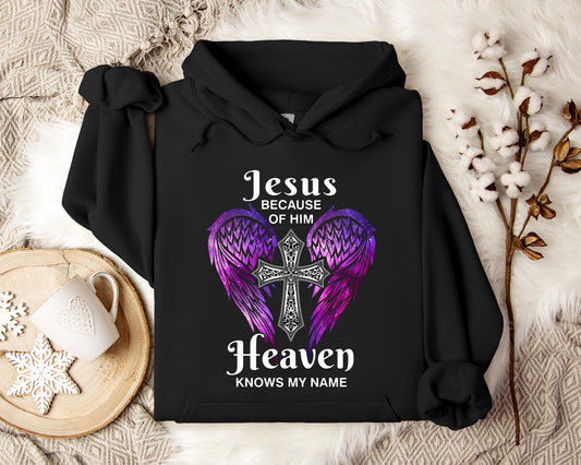Jesus Because Of Him Heaven Knows My Name 01 Hoodie