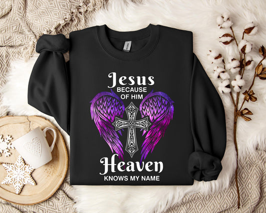 Jesus Because Of Him Heaven Knows My Name 01 Sweatshirt