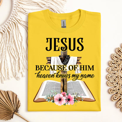 Jesus Because Of Him Heaven Knows My Name 04