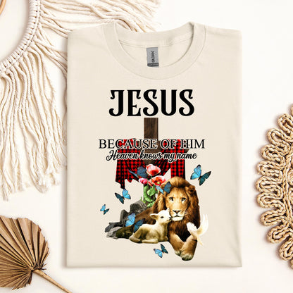 Jesus Because Of Him Heaven Knows My Name 05