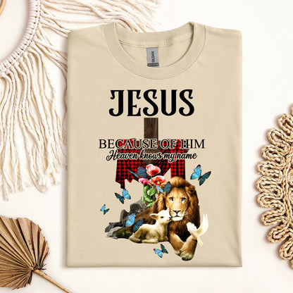 Jesus Because Of Him Heaven Knows My Name 05