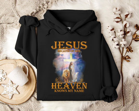 Jesus Because Of Him Heaven Knows My Name 2 Hoodie