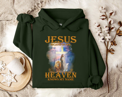 Jesus Because Of Him Heaven Knows My Name 2 Hoodie