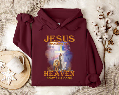 Jesus Because Of Him Heaven Knows My Name 2 Hoodie