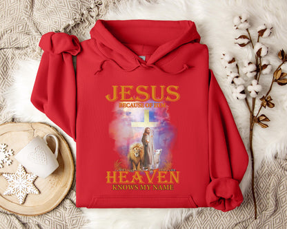 Jesus Because Of Him Heaven Knows My Name 2 Hoodie