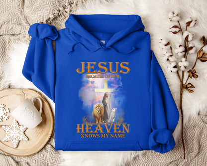 Jesus Because Of Him Heaven Knows My Name 2 Hoodie