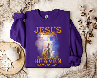 Jesus Because Of Him Heaven Knows My Name 2 Sweatshirt