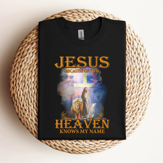 Jesus Because Of Him