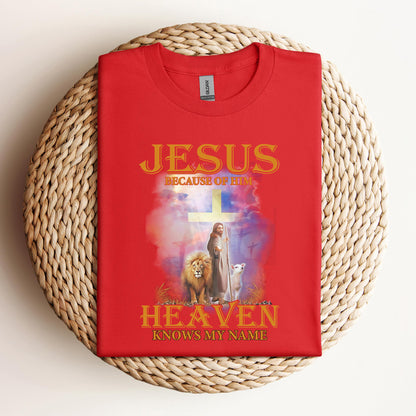 Jesus Because Of Him