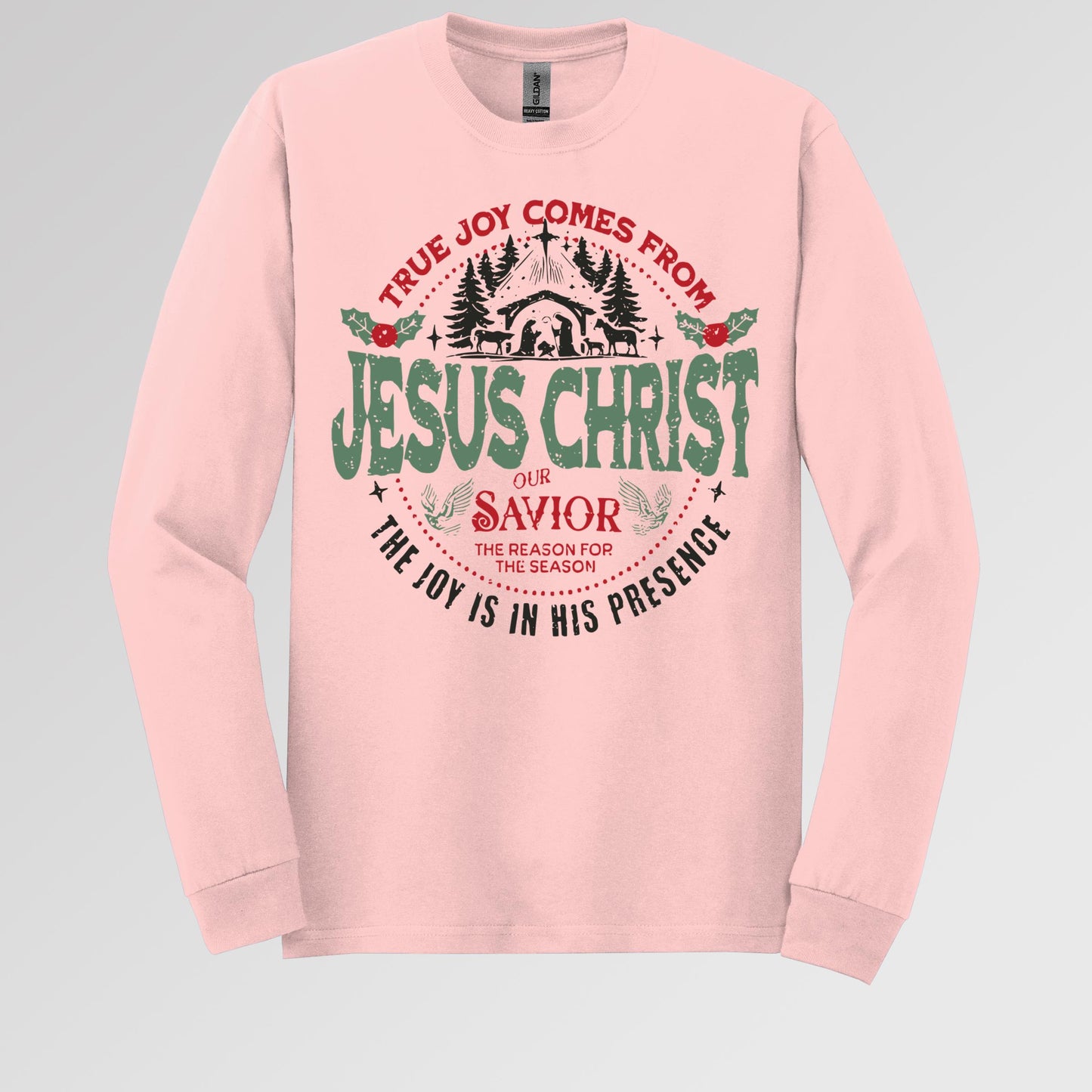 Jesus Christ Our Savior The Reason For The Season