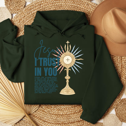 Jesus I trust in you 05