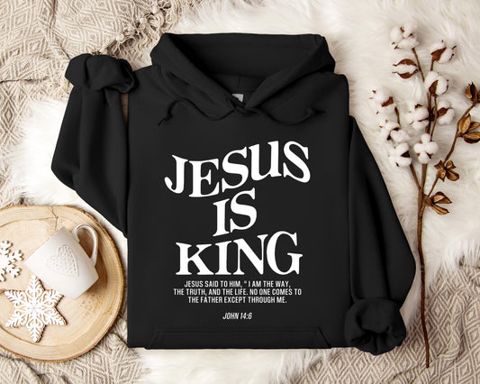 Jesus Is King John 146 Hoodie