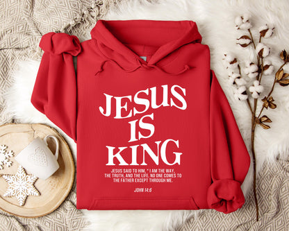 Jesus Is King John 146 Hoodie
