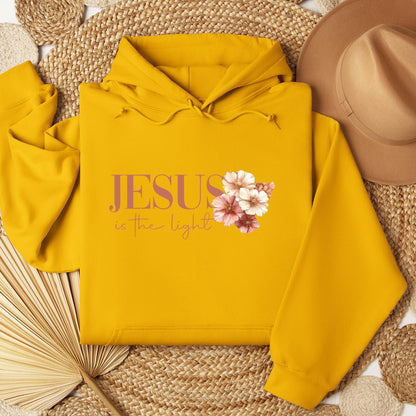 Jesus Is The Light 02