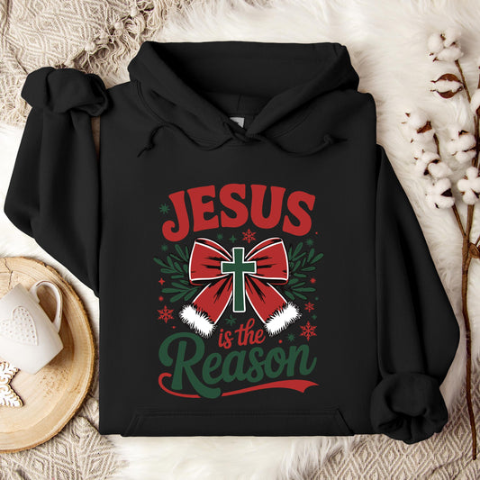 Jesus Is The Reason 01 Hoodie