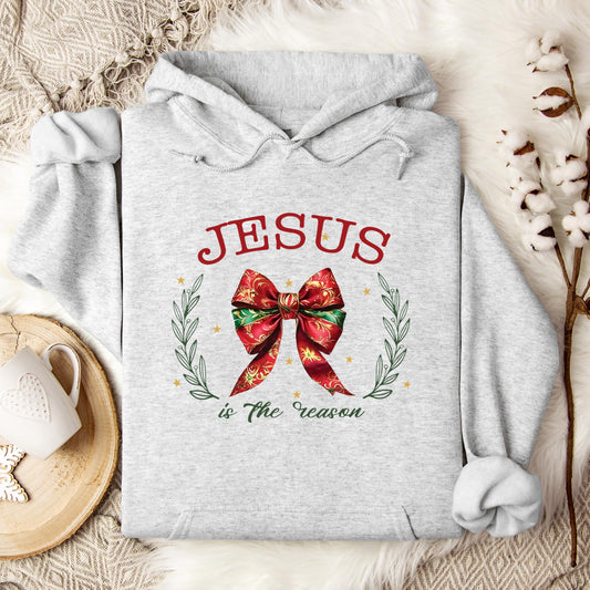 Jesus Is The Reason 02 Hoodie