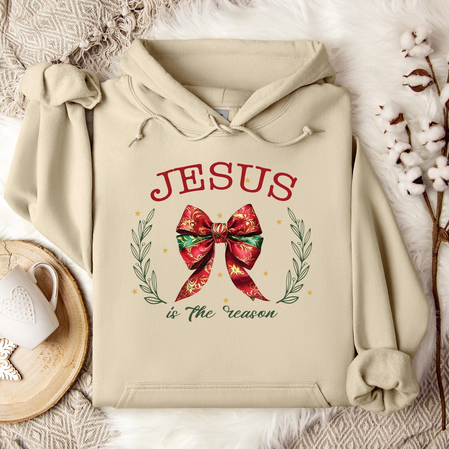 Jesus Is The Reason 02 Hoodie