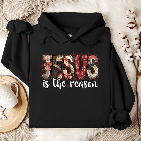 Jesus Is The Reason 03 Hoodie