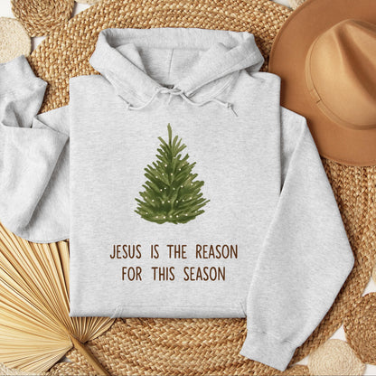 Jesus Is The Reason For This Season