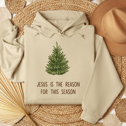 Jesus Is The Reason For This Season