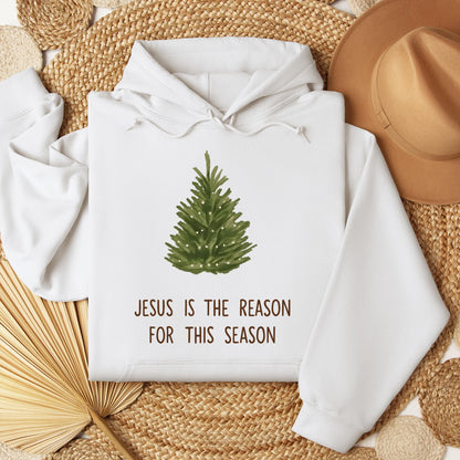 Jesus Is The Reason For This Season