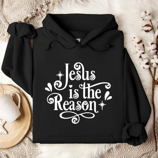 Jesus Is The Reason Hoodie