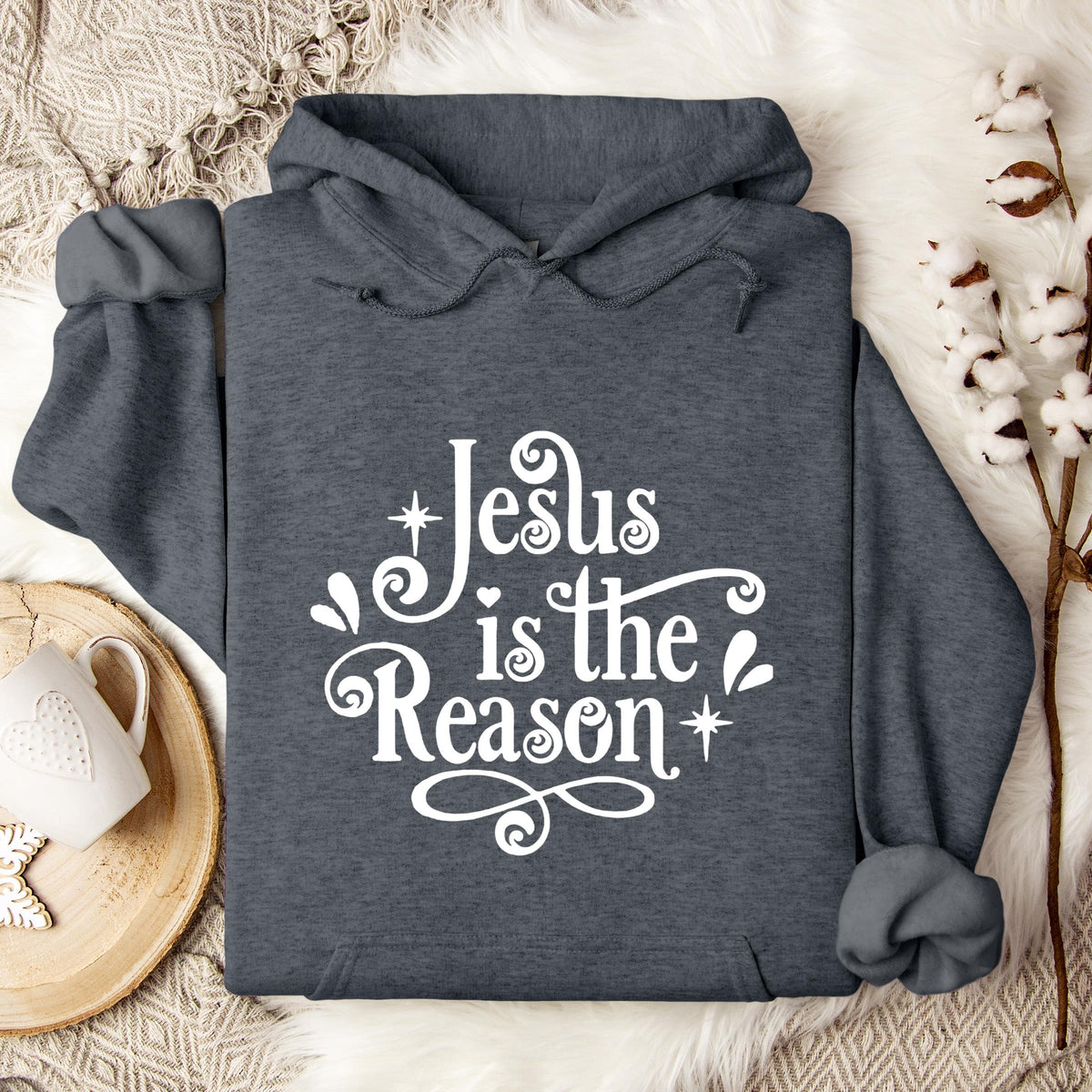 Jesus Is The Reason Hoodie