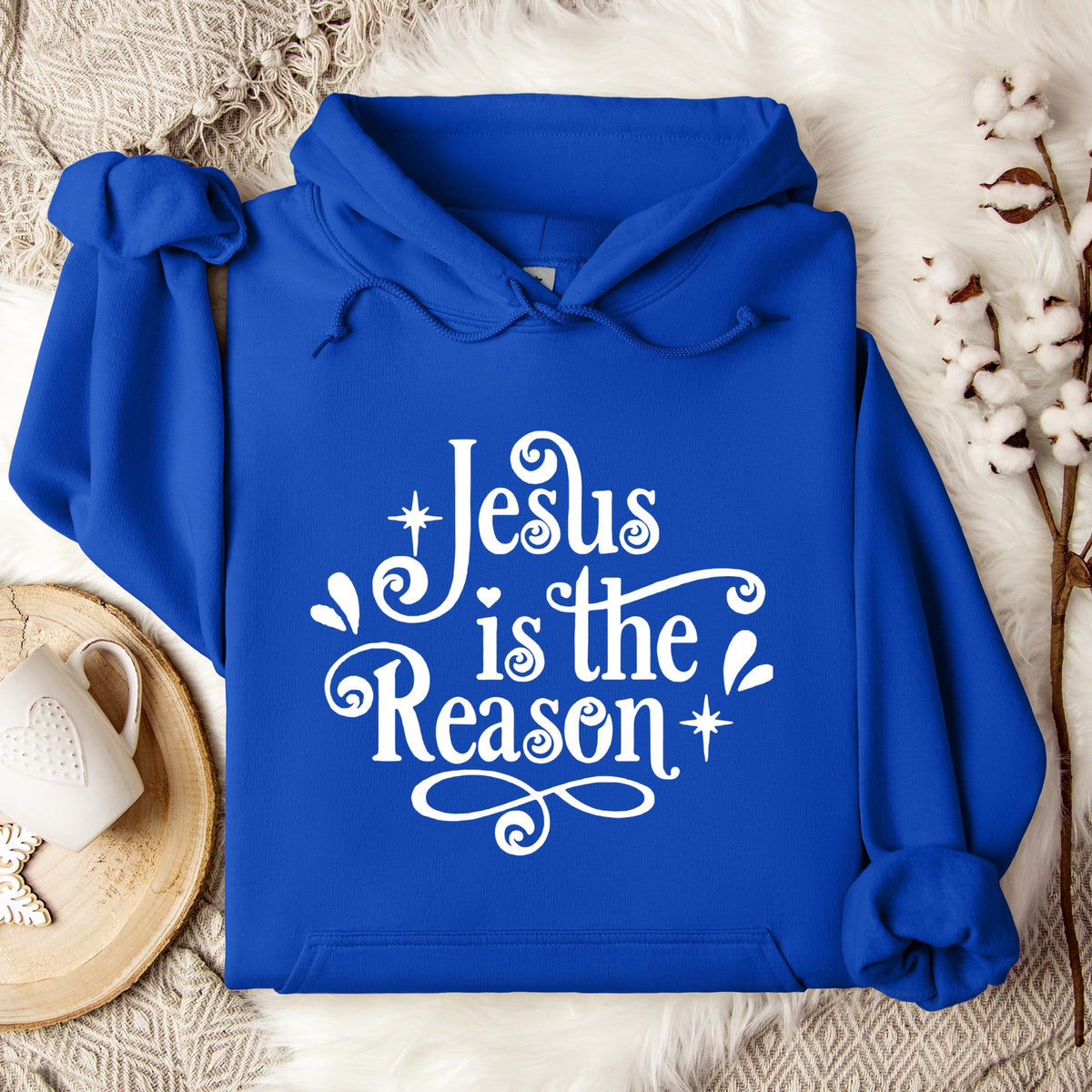 Jesus Is The Reason Hoodie