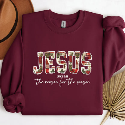 Jesus Luke 2.11 The Reason For The Season