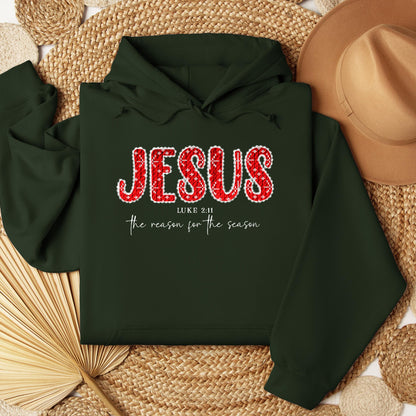 Jesus The Reason For The Season Luke 2.11