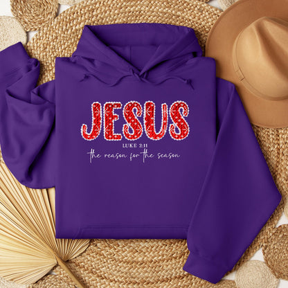 Jesus The Reason For The Season Luke 2.11