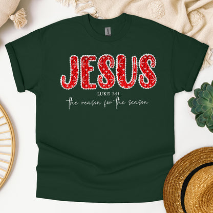 Jesus The Reason For The Season Luke 2.11