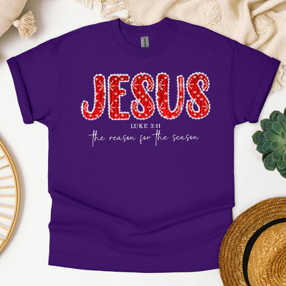 Jesus The Reason For The Season Luke 2.11