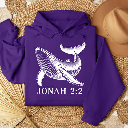Jonah 2.2 01