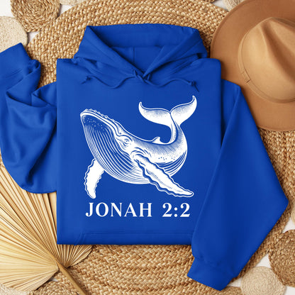 Jonah 2.2 01