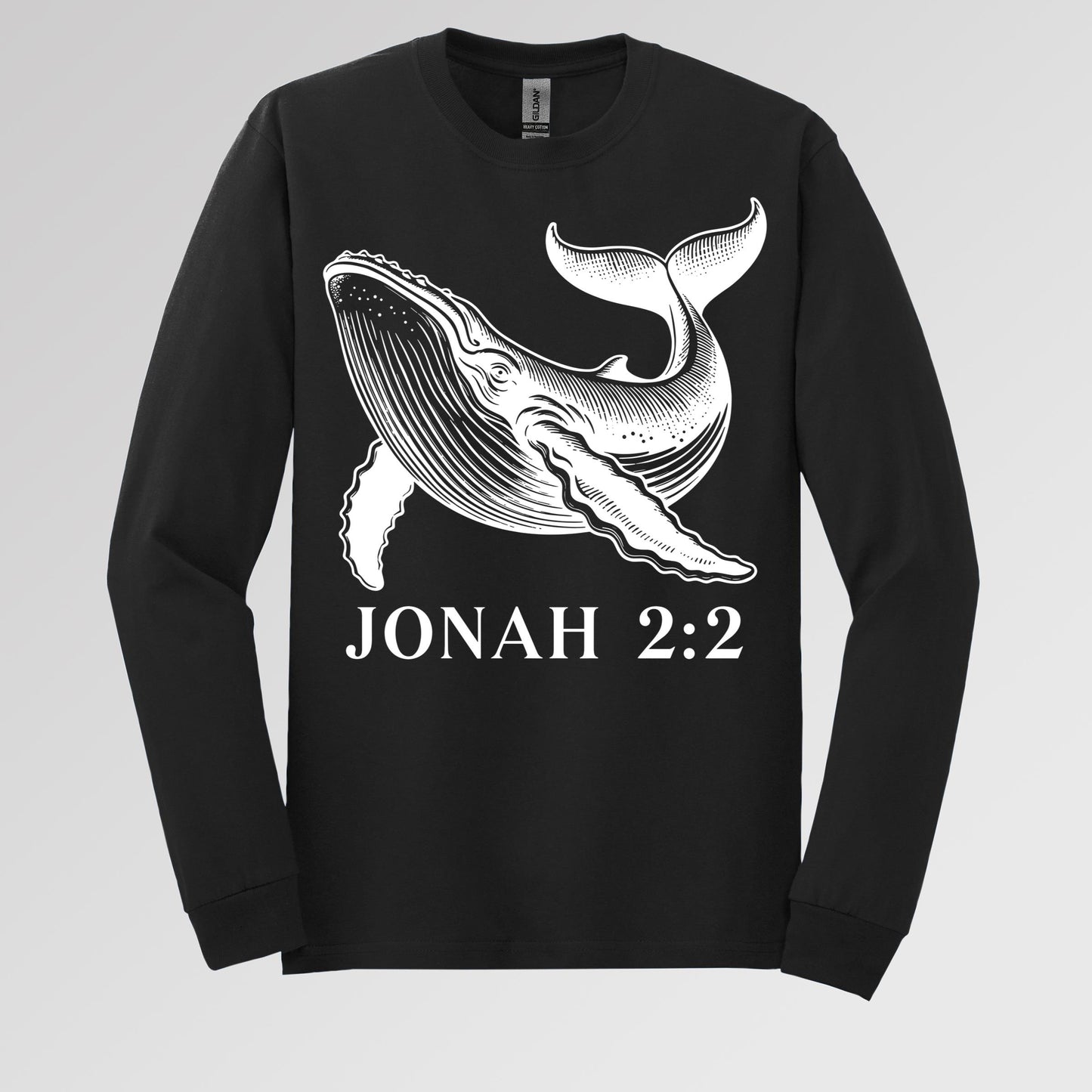 Jonah 2.2 01