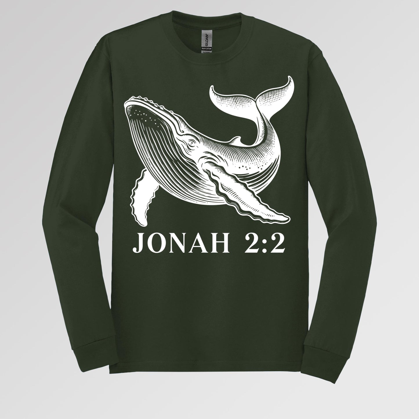 Jonah 2.2 01