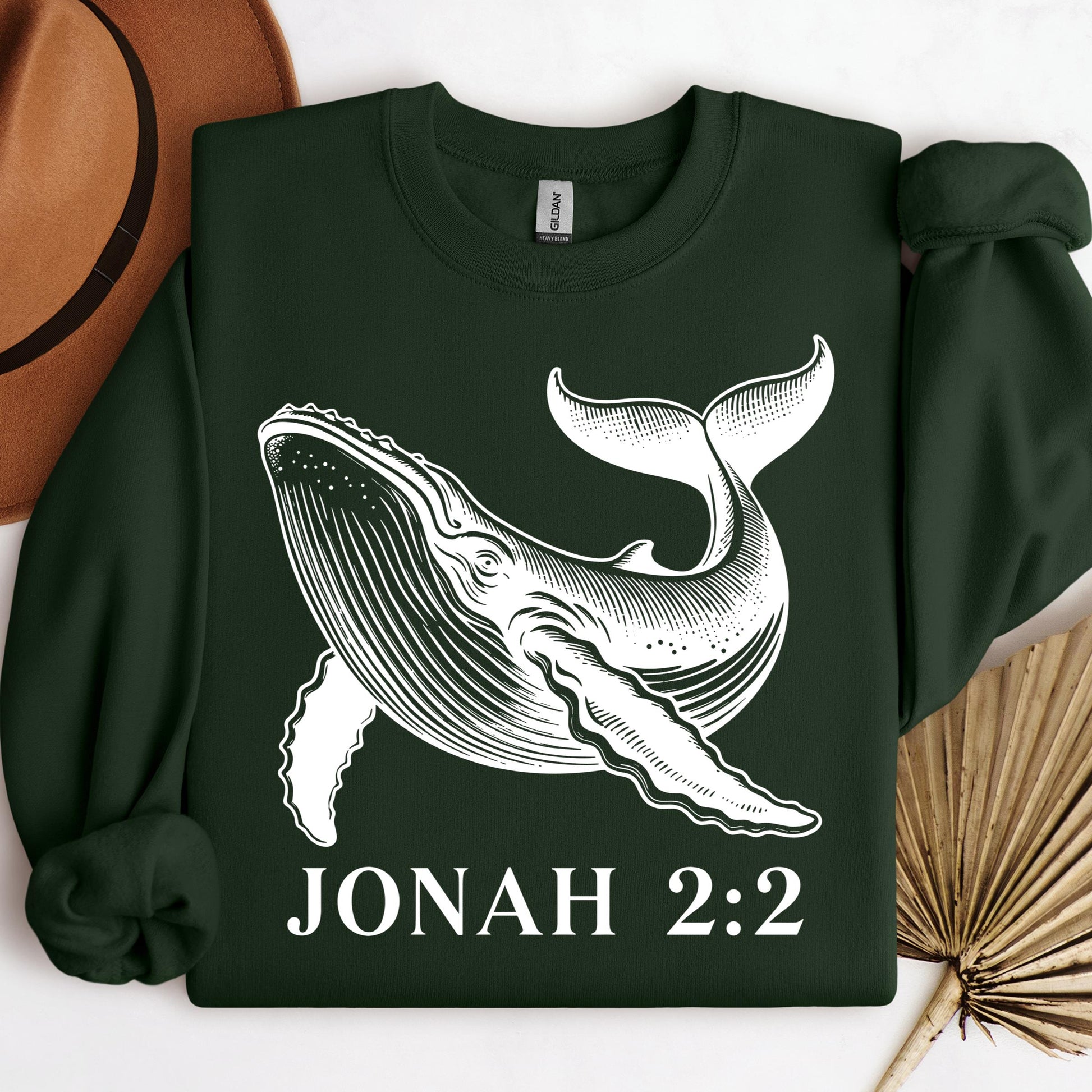 Jonah 2.2 01