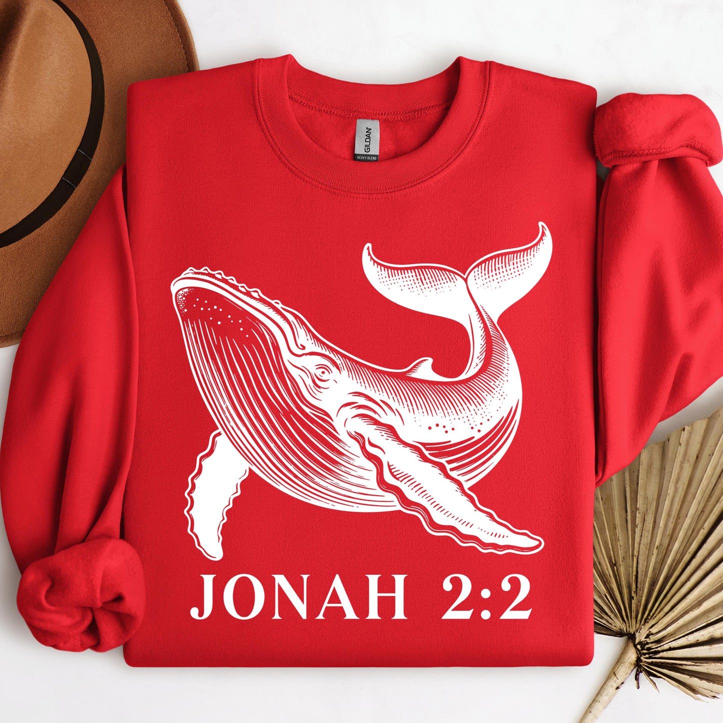 Jonah 2.2 01