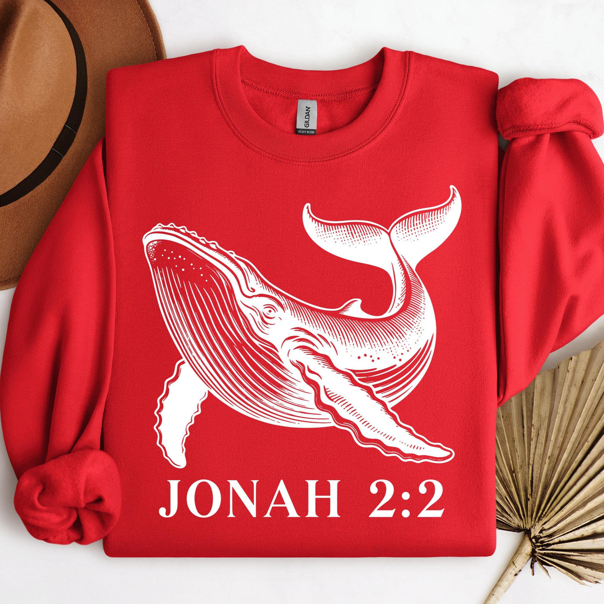 Jonah 2.2 01
