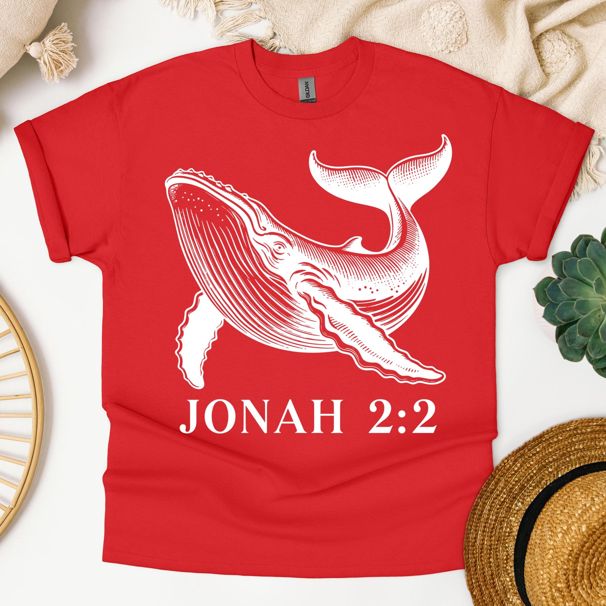 Jonah 2.2 01