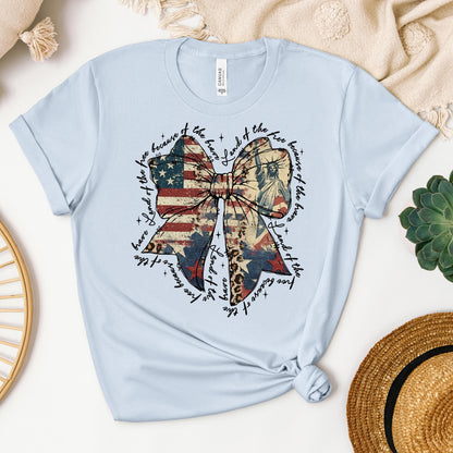Land Of The Free Because Of The Brave 02
