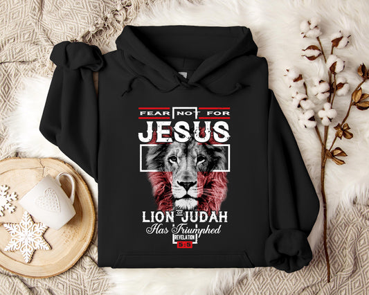 Lion Of Judah Revelation 55 Hoodie