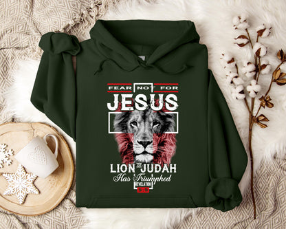Lion Of Judah Revelation 55 Hoodie