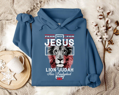 Lion Of Judah Revelation 55 Hoodie