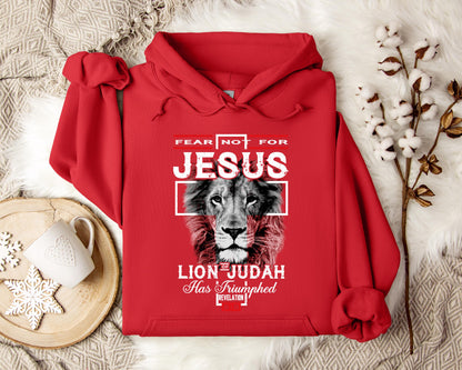 Lion Of Judah Revelation 55 Hoodie