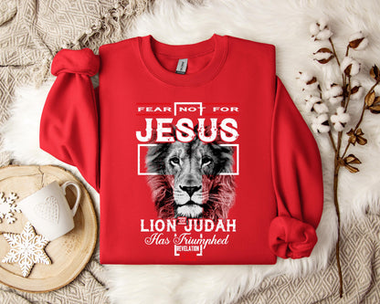 Lion Of Judah Revelation 55 Sweatshirt