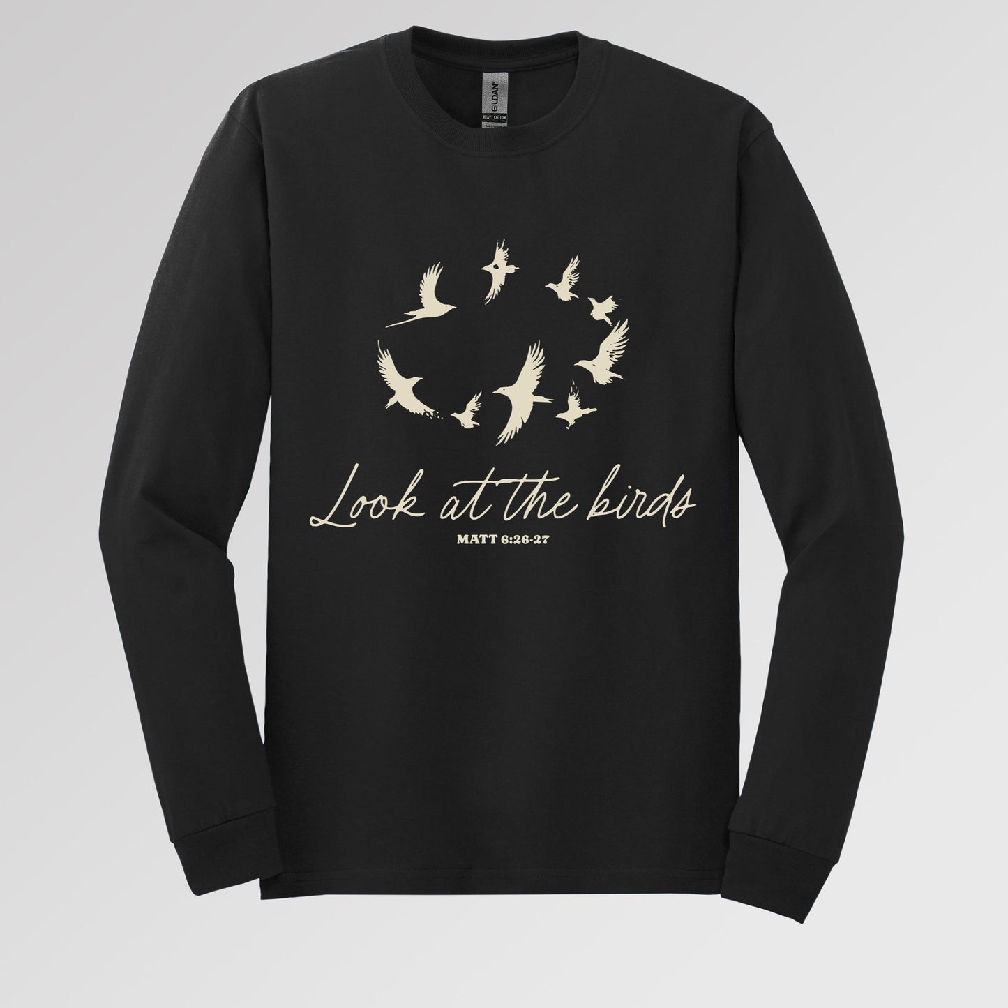 Look At The Bird Matt 6.26-27
