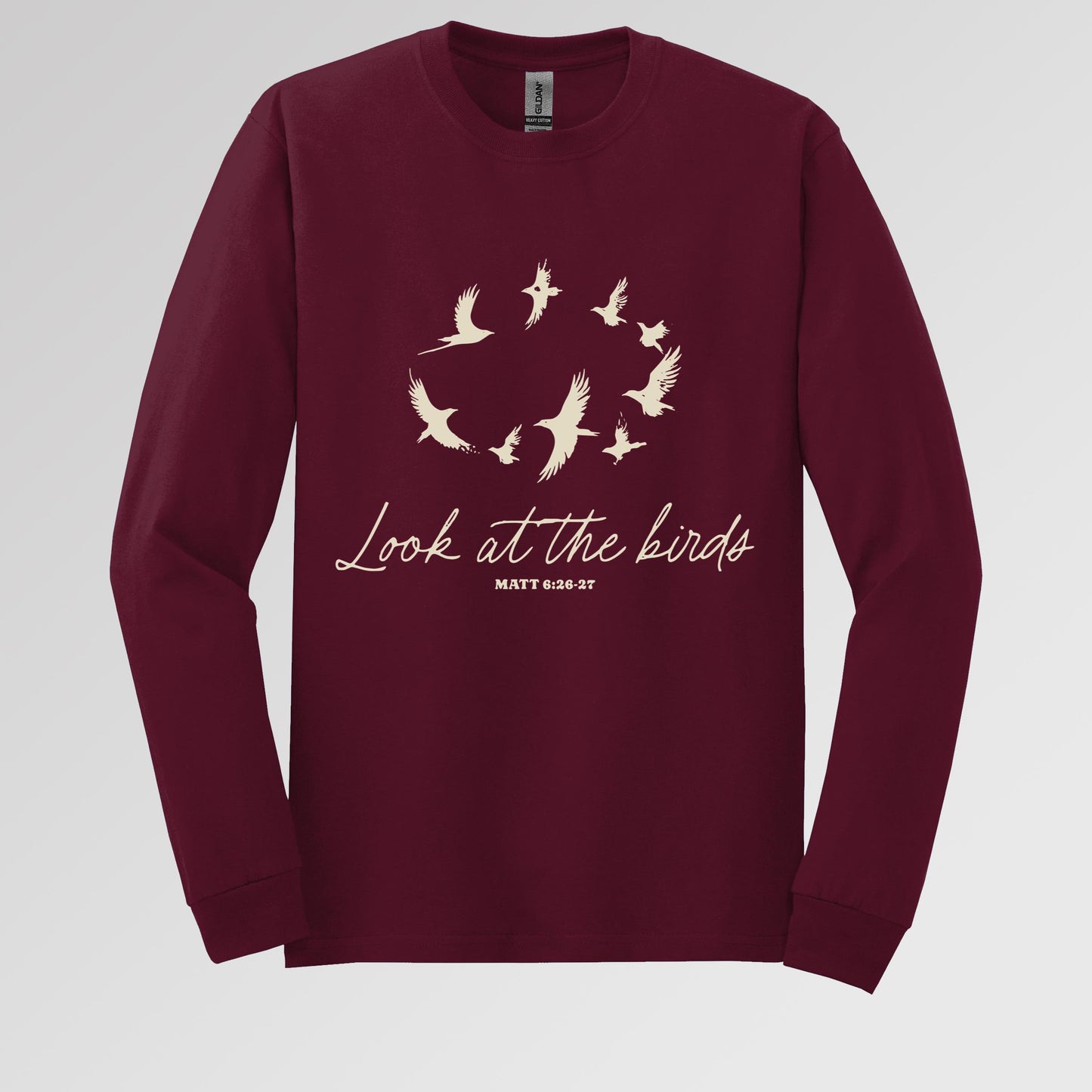 Look At The Bird Matt 6.26-27